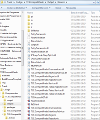  Diretorio com as DLL's