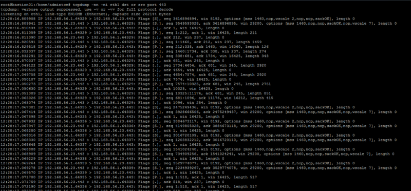 1000px-capturaeth1_redeexterna_porta443.png 1000px-capturaeth1_redeexterna_porta443.png